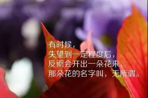 靠自己努力拼搏的句子文案