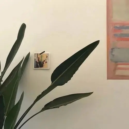 高端大气的朋友圈