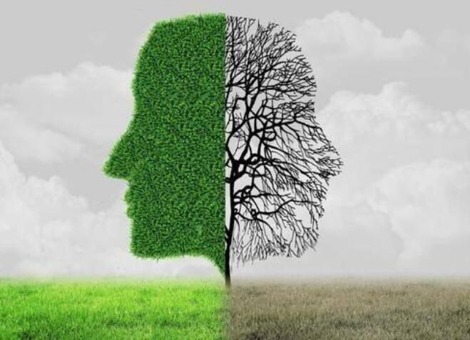 时间飞逝的优美句子文案开头