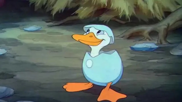 丑小鸭的好词好句文案