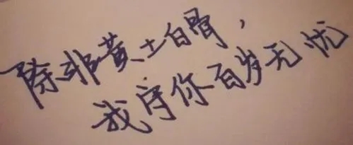 给男友的调皮的情话文案十字以内