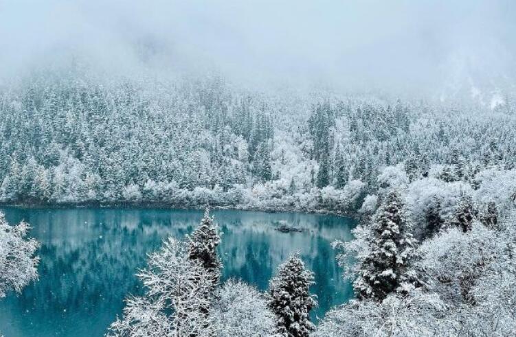 冬天雪景的优美句子文案
