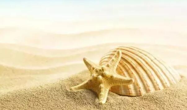 含蓄表达想念的诗句文案