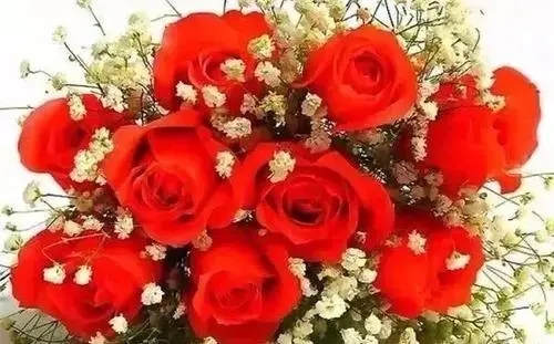 早上问候女朋友的话