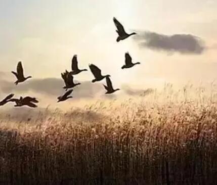 经典好文章大全