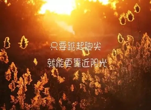 微信状态好的正能量的句子文案