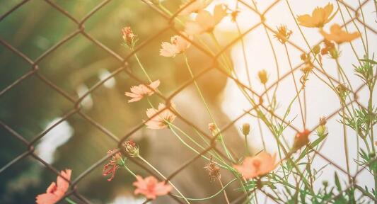 18岁生日祝福语简短男