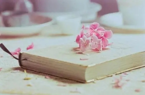 感谢别人诚信的句子文案