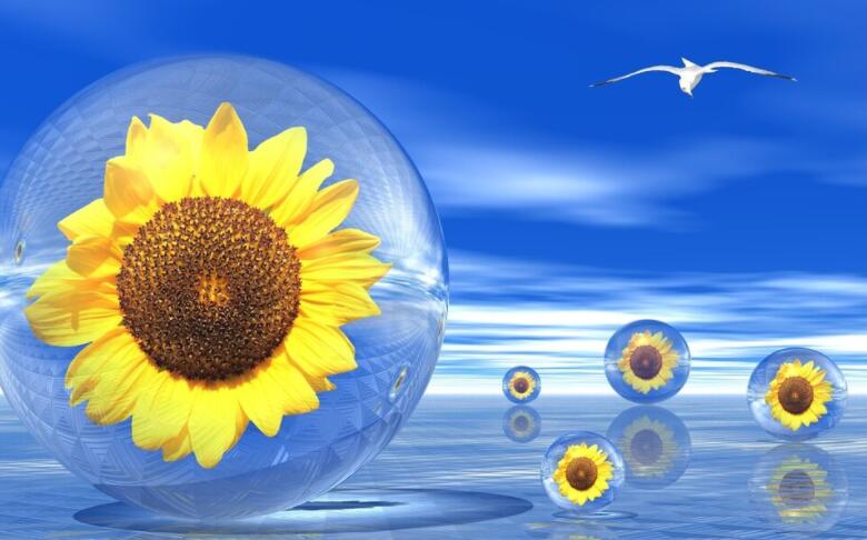 生活唯美的句子文案