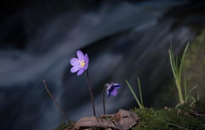 一个人必须坚强的句子文案