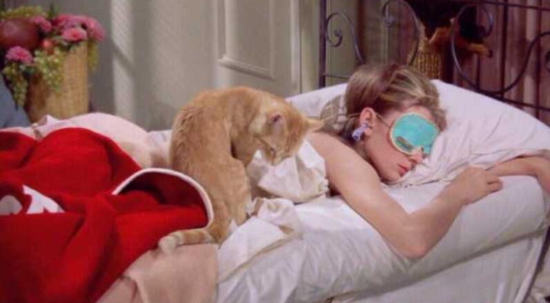 超短优美句子文案大全10字