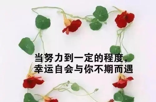 早安语录文案正能量 图片