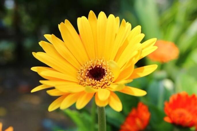 做微商早安与正能量一句话