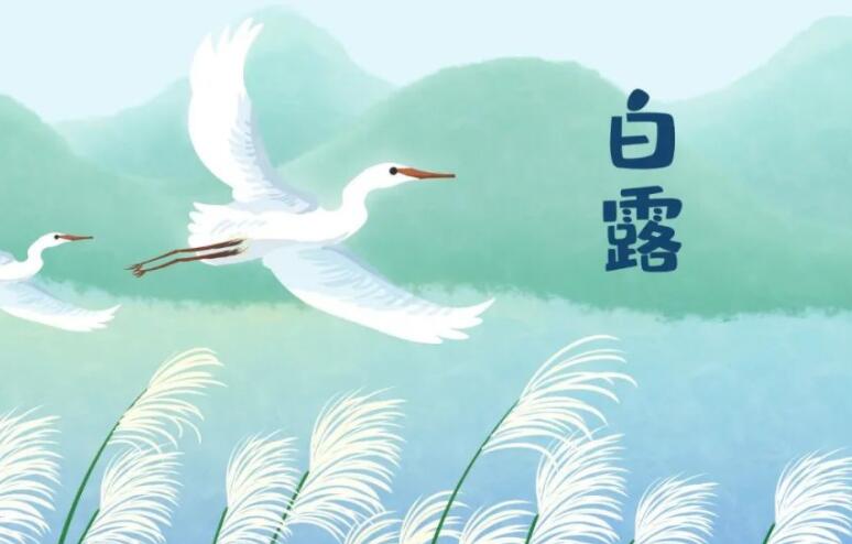 关于白露的图片及诗句文案