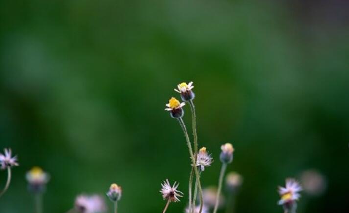 关于对生活彷徨的说说文案