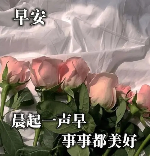 今天早上好问候语最佳图片