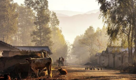 遇到不顺心的事的句子文案