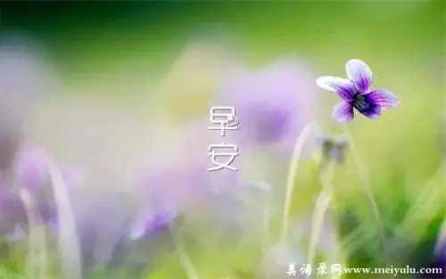 2024年5月17日早安心语