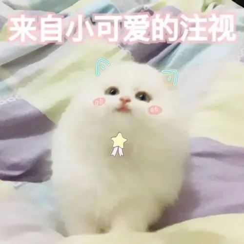 可爱的句子文案简短萌软妹