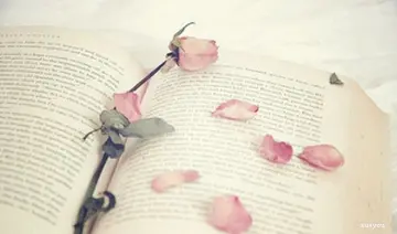 工作沉淀积累的励志语录文案