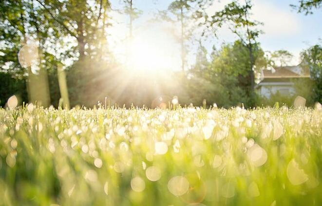 早上好四句问候语