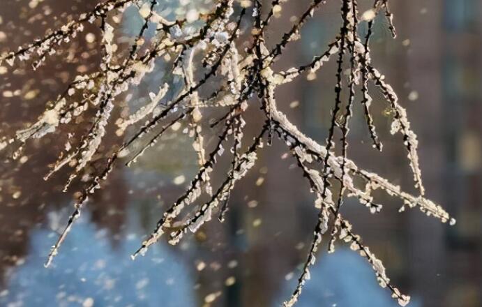 开车下雪的说说文案
