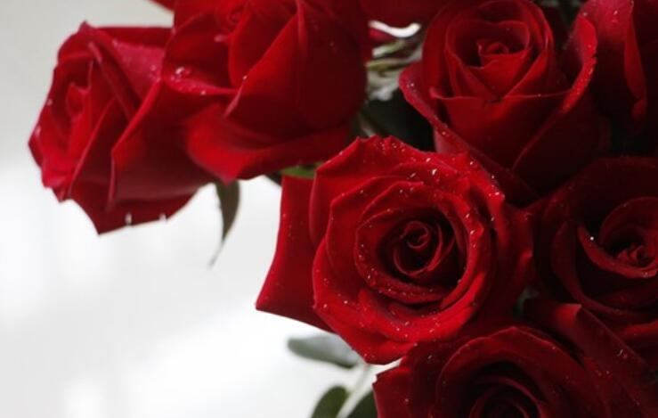 早上好的哲理经典语句文案