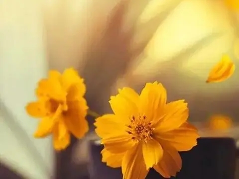 人生有道理的一句话