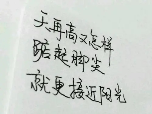 十句的辞职经典语句文案