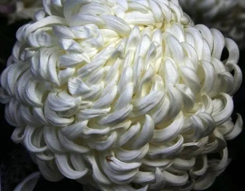 爸爸一路走好的说说文案