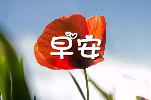 富有诗意早上问候语