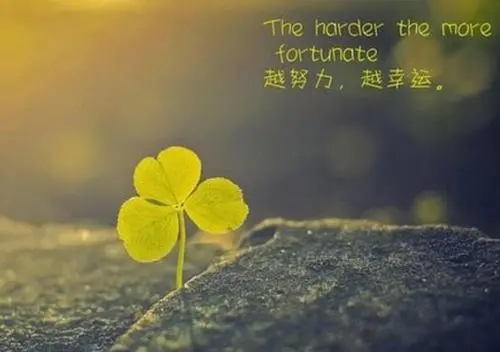 人生感悟一句话经典