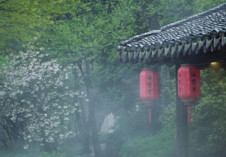 含有雨的唯美句子文案