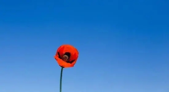 振奋人心的句子文案名言