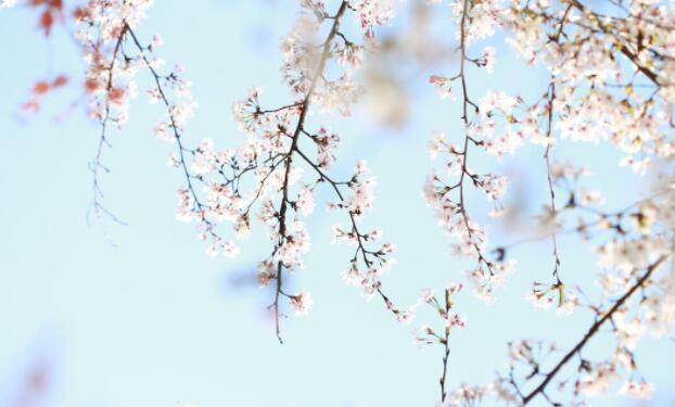 想念一个人的诗句文案经典