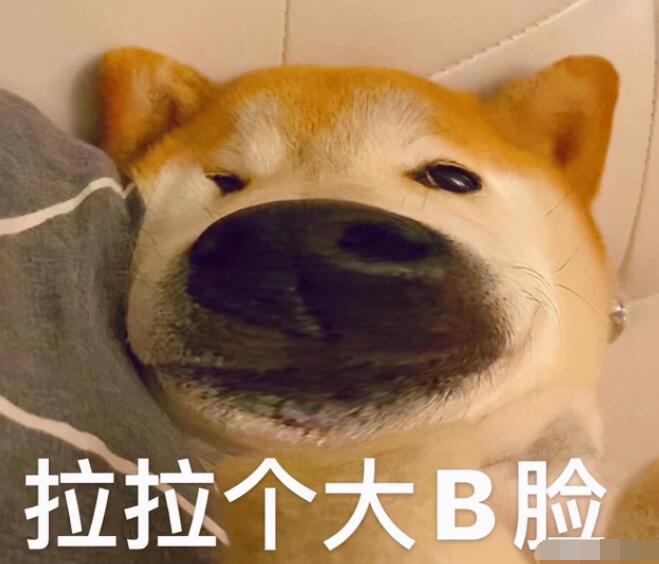 可爱的沙雕个性签名