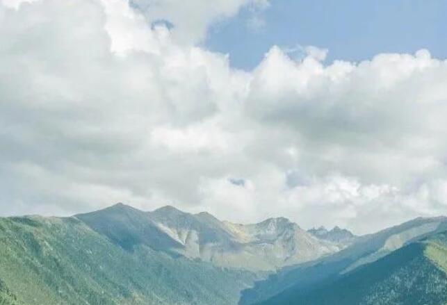 自己送花给自己的句子文案