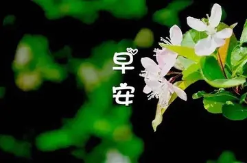 运动早安心语简短