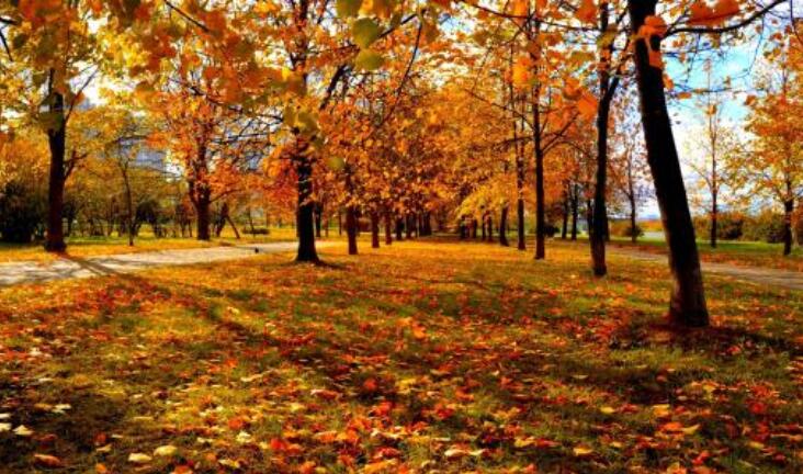 形容天气凉爽舒服的句子文案