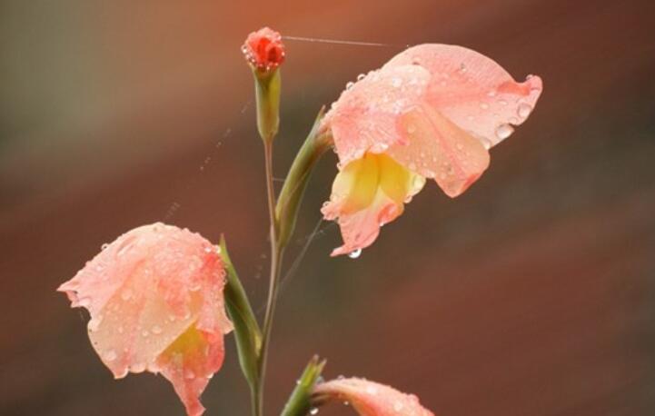 精辟人生格言句子文案简短