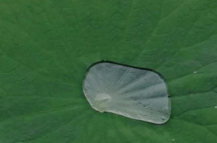 带有颜色的优美句子文案