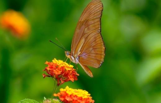 有修辞手法的优美段落