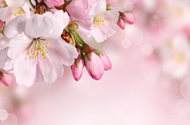 怼嘴贱的人的搞笑句子文案