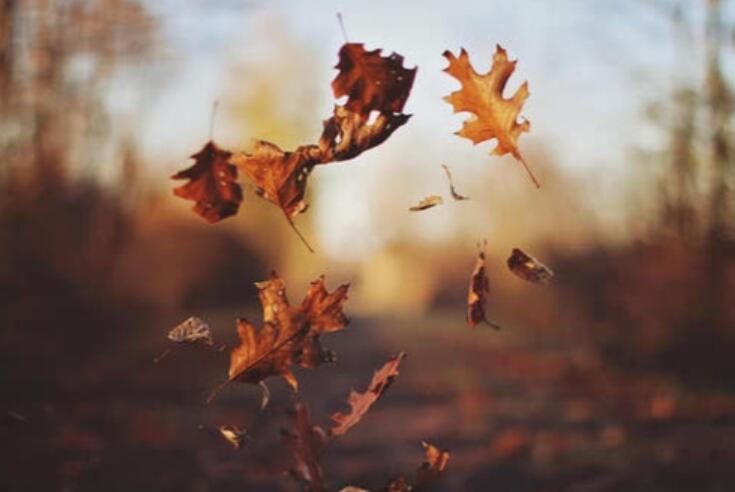 不甘于平凡的名言