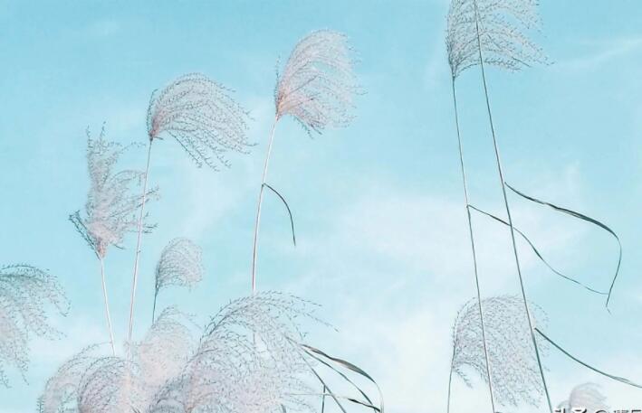 2024微信说说文案