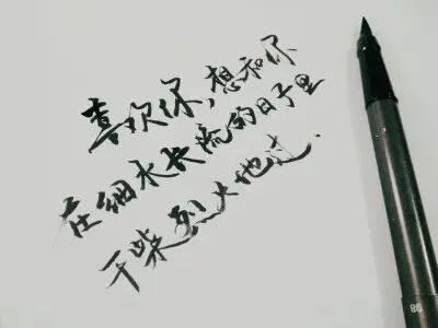 美句摘抄大全青春