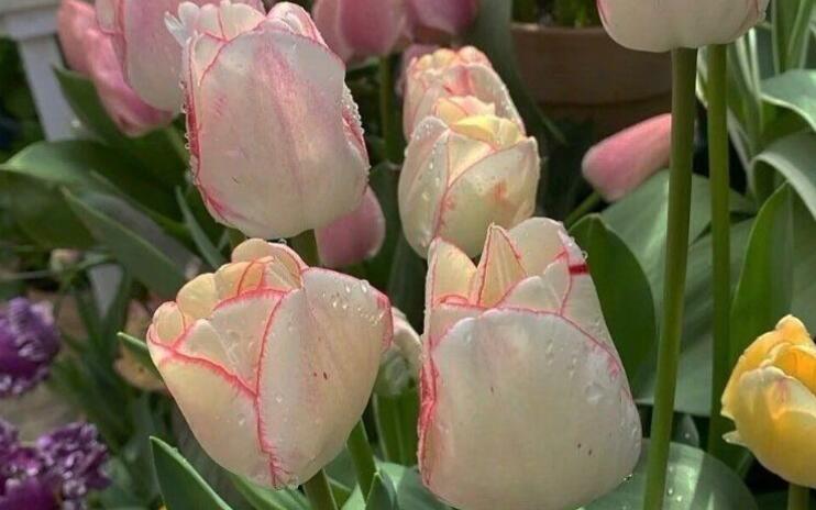 描写云的文艺小短句