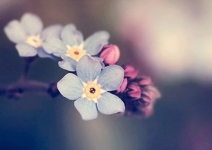 很简短的心情说说文案