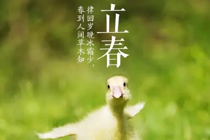立春文案8字