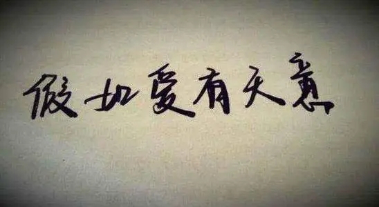 一切都是天意的句子文案